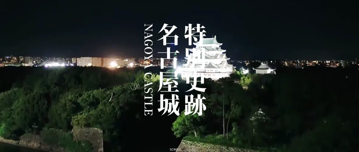 名古屋の観光デートにおすすめの場所 名古屋城